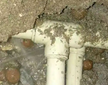 天元测漏水多少钱