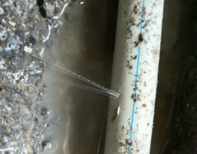 天元测漏水哪家好