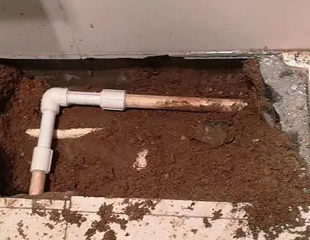 天元测漏水哪家好