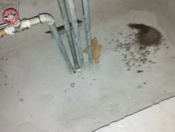 天元卫生间测漏水价格明细