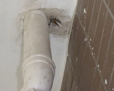 天元漏水检测哪家好